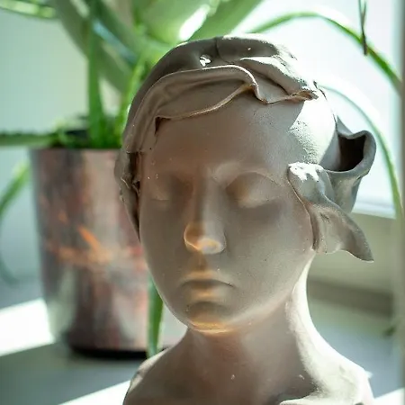 Daire Sloneczny - Mlyn Maria - Art